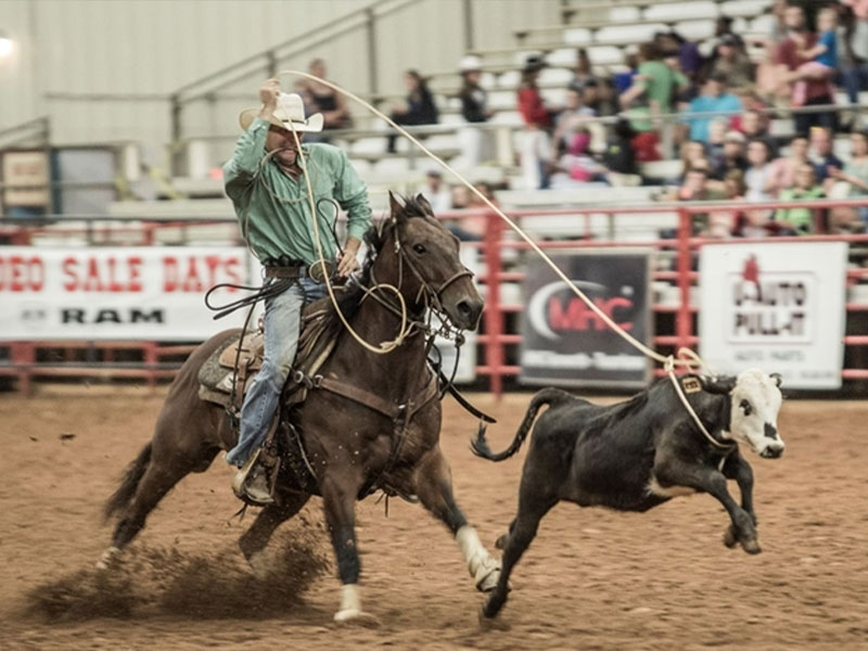 Four-States-Rodeo-featured-image